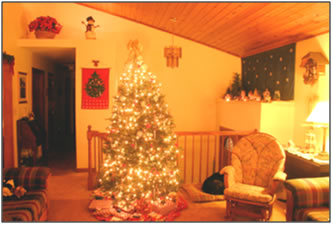 Christmas at the Vogt’s House, with the dog asleep and the tree a-twinkling and the village a-light, and the snowman looking down upon it all!