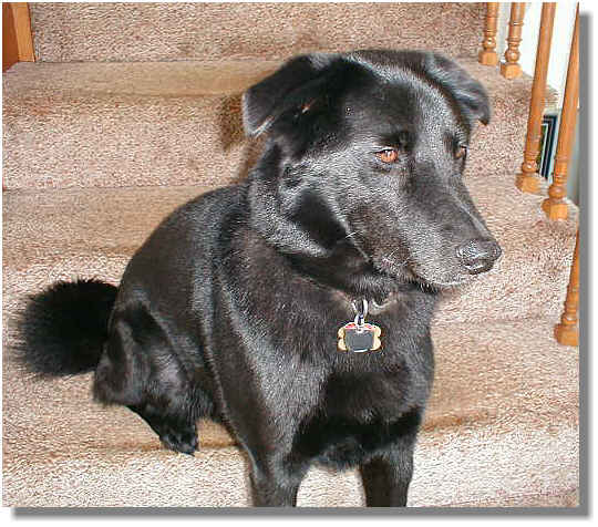 Sitting-Buddy.jpg (47834 bytes)