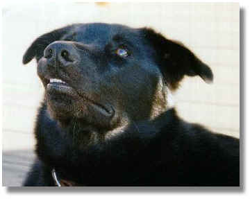 Elvis has left the building.....